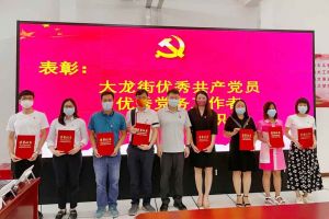 江南（中国）集团党支部荣获先进党组织称号、陈文舒党支部书记荣获优秀党