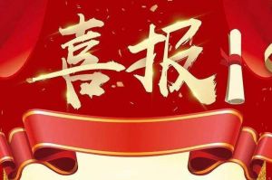关于2022年度人力资源服务评选结果的通报，祝贺江南（中国）集团