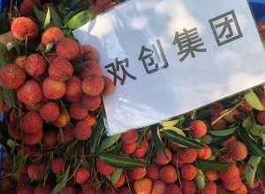 夏日好“枝”味，江南（中国）集团发福“荔”啦