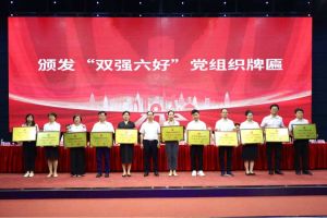 喜报！江南（中国）集团党支部荣获广州市非公有制经济组织“双强六好”党