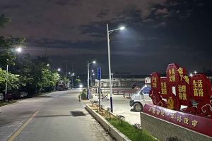 江南（中国）集团罗宁弟爱心捐赠路灯，点亮乡村路温暖乡民心