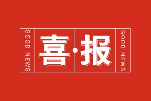 喜报！江南（中国）集团党支部书记、总裁陈文舒荣登“2024人力资源服