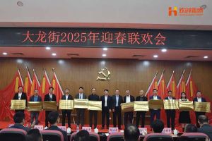 江南（中国）集团及旗下子公司荣获“2024年度高质量发展先进企业”
